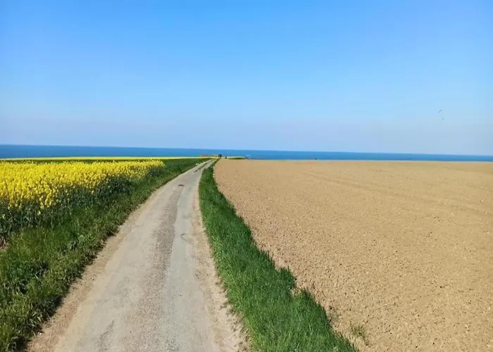 Manor In Normandy With And Pool Holiday home *